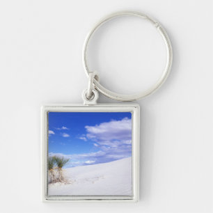 Porte-clés White Sands NM, Nouveau-Mexique, États-Unis