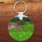 Porte-clés Whitetail Deer (Recto)