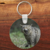 Porte-clés Wildcat (Recto)