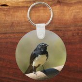 Porte-clés Willie Wagtail (Recto)
