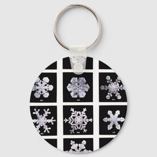 Porte-clés Wilson Bentley Snowflakes (Recto)