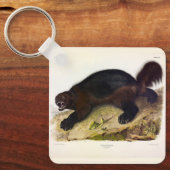 Porte-clés Wolverine ou Wolverene (Gulo gulo) par Audubon (Recto)