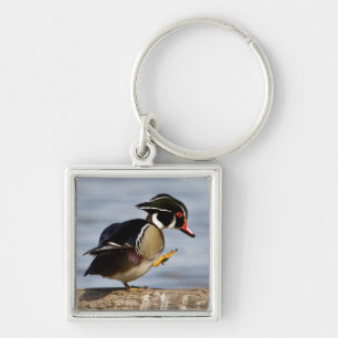 Porte-clés Wood Duck