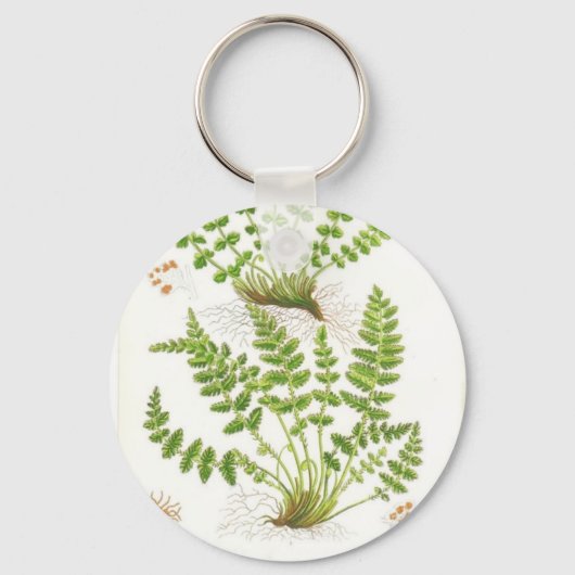 Porte-clés Woodsia Fern (Recto)