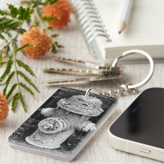 Porte-clés Worn Chipped Rusty Old Fire Hydrant Photograph (Devant droit)