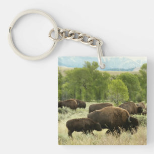 Porte-clés Wyoming Bison Nature Animal Photographie