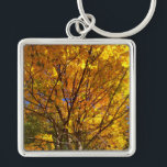 Porte-clés Yellow Fall Foliage<br><div class="desc">A maple tree blazes a golden yellow in the autumn sun in this pic snapped by Richard H. Fay.</div>