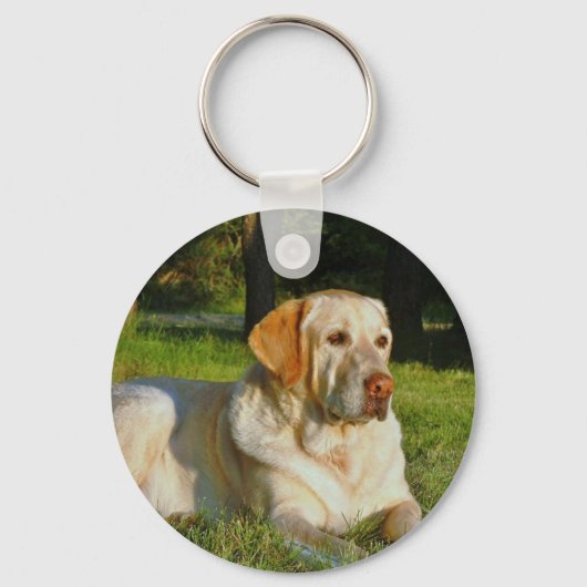 Porte-clés Yellow Labrador Retriever (Recto)