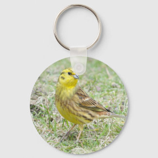 Porte-clés Yellowhammer Porte - clé d'oiseaux jaunes