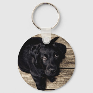 Porte-clés Yeux de chiot