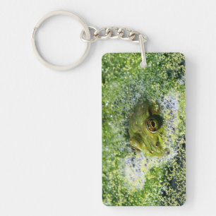 Porte-clés Yeux de grenouille dans un étang