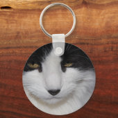 Porte-clés Yeux foncés de chat (Recto)