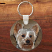 Porte-clés Yorkie (Recto)