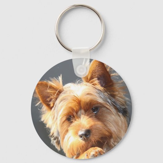 Porte-clés yorkie (Recto)