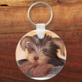 Porte-clés Yorkie dans votre Coupe (Recto)