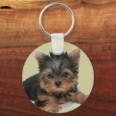 Porte-clés Yorkie Pup (Recto)