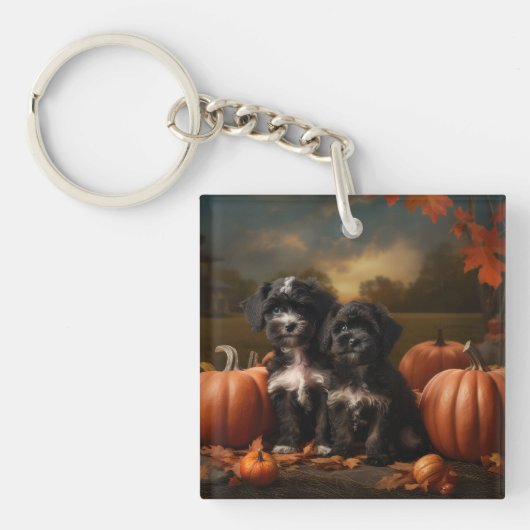 Porte-clés Yorkipoo Chiot Automne Citrouille délice (Devant)
