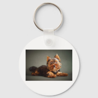 Porte-clés Yorkshire Terrier