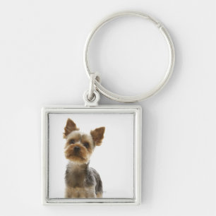 Porte-clés Yorkshire Terrier