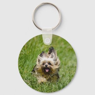 Porte-clés Yorkshire Terrier mignon courant dans l'herbe