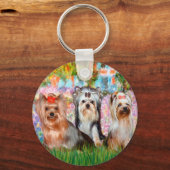 Porte-clés Yorkshire Terriers (trois) - Jardin (Recto)