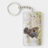 Porte-clés Young Baboon (Devant)