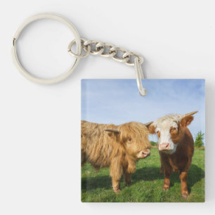 Porte-clés Young Highland Cows