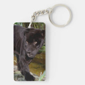 Porte-clés Zoo de ville de Belize. Panthère noire (Dos)