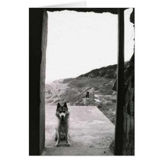 Porte de chien (Devant)
