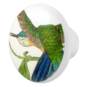 Porte En Céramique Bouton animal de faune d'oiseau de colibri