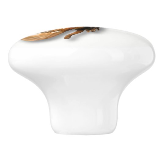 Porte En Céramique Bouton d'abeille de miel (Côté)