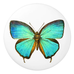 Porte En Céramique Bouton d'animal de faune d'insecte de papillon de