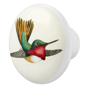 Porte En Céramique Bouton d'animal de faune d'oiseau de colibri