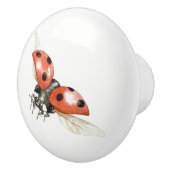 Porte En Céramique bouton de coccinelle (Droite)