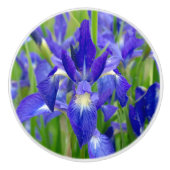 Porte En Céramique Bouton de fleur bleu Iris (Devant)