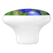 Porte En Céramique Bouton de fleur bleu Iris (Côté)