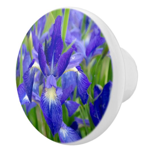 Porte En Céramique Bouton de fleur bleu Iris (Droite)