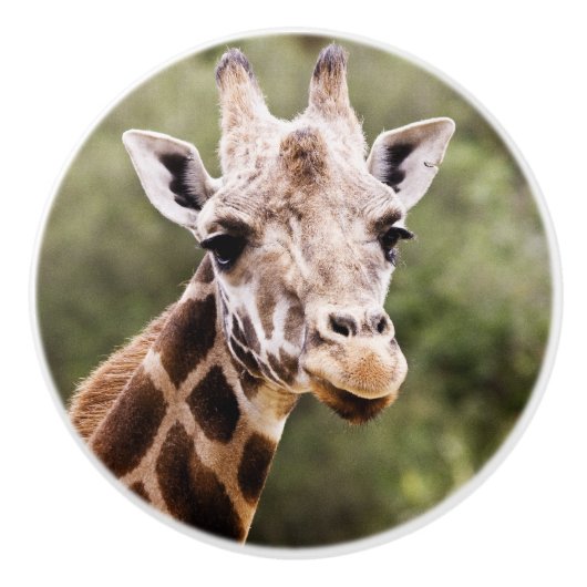 Porte En Céramique Bouton de girafe (Devant)