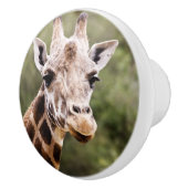 Porte En Céramique Bouton de girafe (Droite)