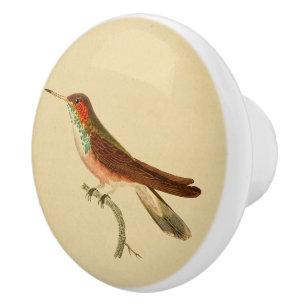 Porte En Céramique Bouton de tiroir de colibri vintage 1830