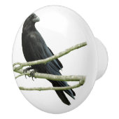 Porte En Céramique Bouton de tiroir de corneille (Droite)