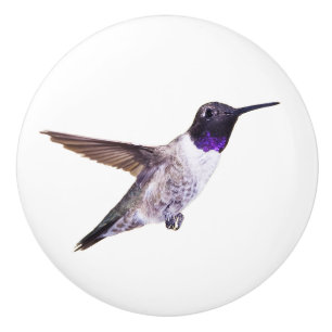 Porte En Céramique Bouton Noir-chinned de colibri