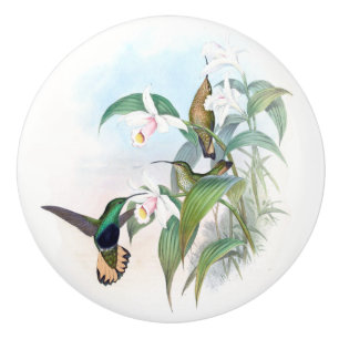 Porte En Céramique L'oiseau de colibri fleurit le bouton d'animal de