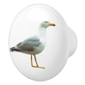 Porte et poignée de tiroir de moules (Droite)