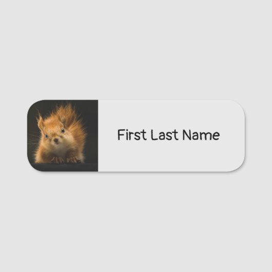 Porte-nom Balise Personnaliser le nom de l'animal d'écureuil (Devant)