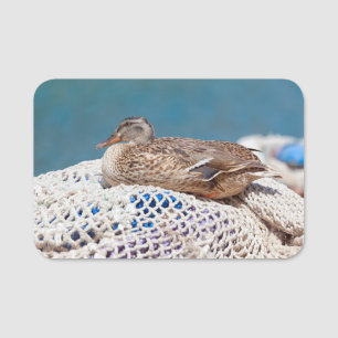 Porte-nom Canard de repos