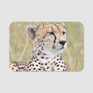 Porte-nom Cheetah