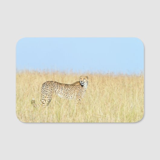 Porte-nom Cheetah (Devant)
