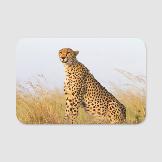 Porte-nom Cheetah Portrait (Devant)