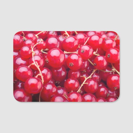 Porte-nom Curateur rouge (Devant)